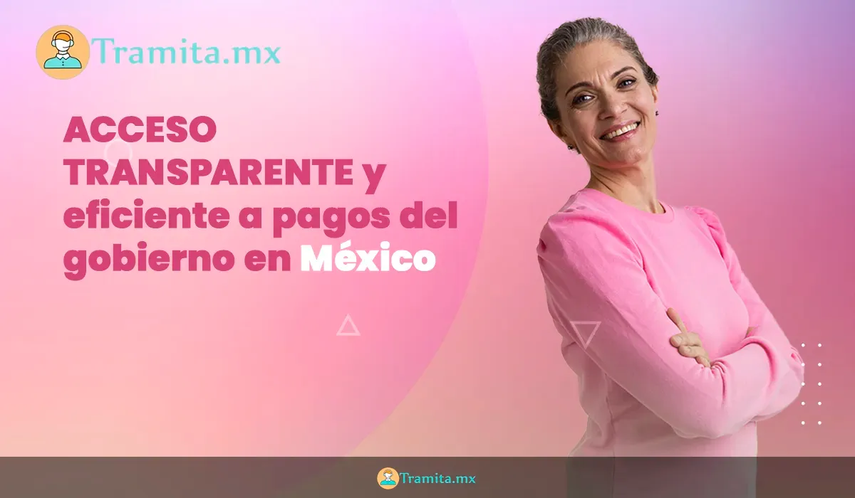 Acceso transparente y eficiente a pagos del gobierno en México