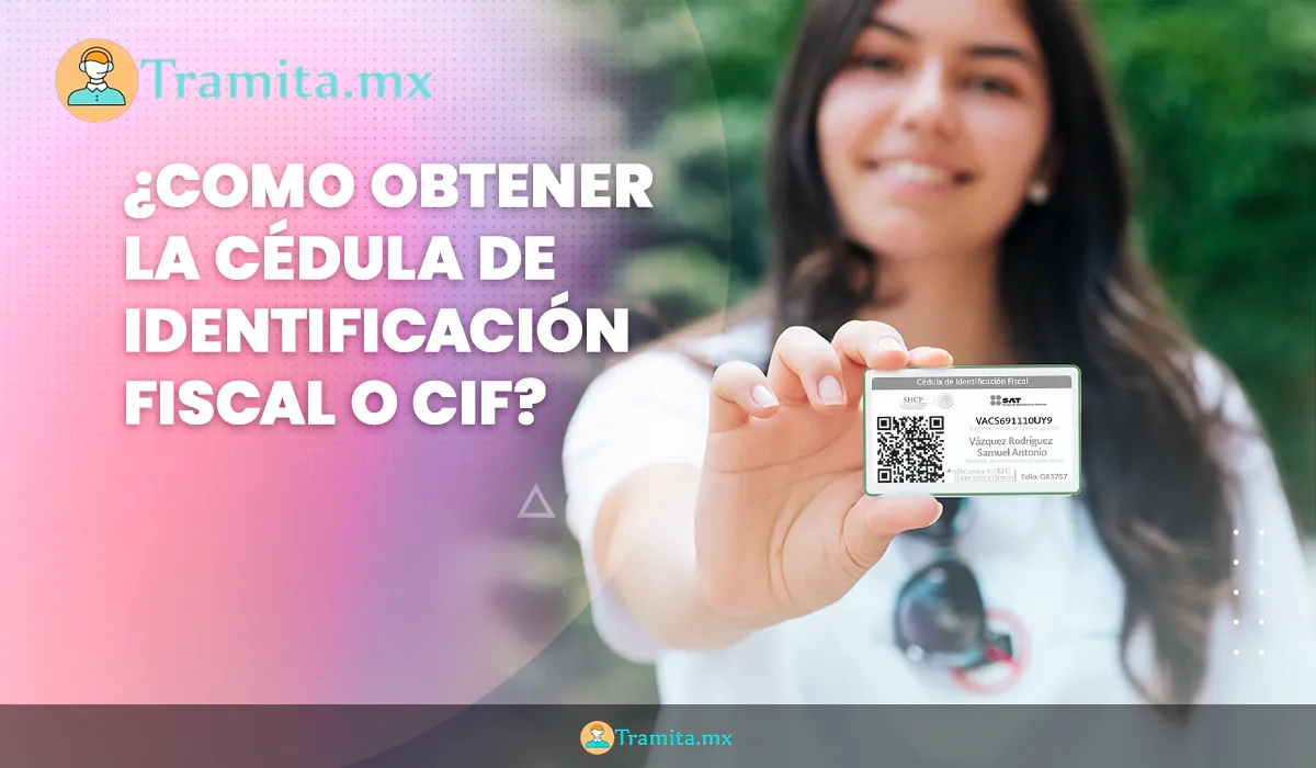 Cédula de Identificación Fiscal (CIF): ¿Qué es y para qué sirve?