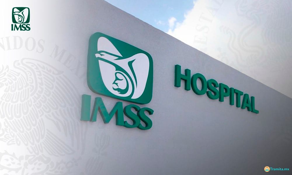 Incapacidad IMSS 2026: Cómo Cobrarla y Cuánto Te Pagan