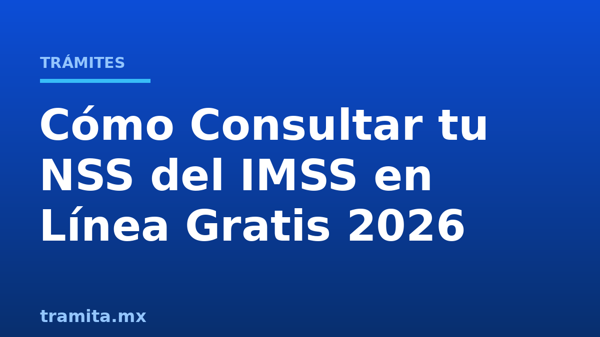 Cómo Consultar tu NSS del IMSS en Línea Gratis 2026