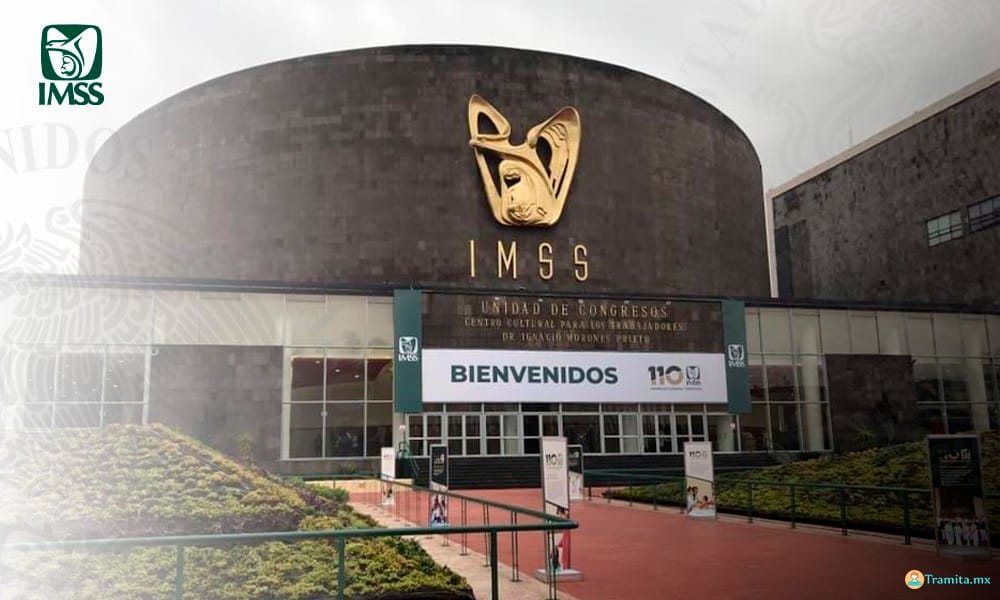 Cómo Darme de Alta en una Clínica del IMSS 2026: Pasos y Requisitos