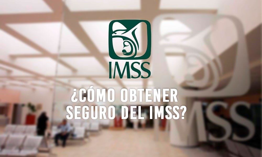 Seguro del IMSS 2026: Cómo Obtenerlo como Trabajador o por tu Cuenta