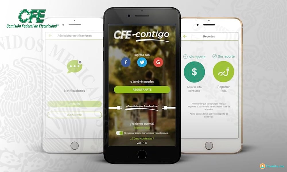 Consulta o Imprime tu Recibo de Luz en Línea CFE