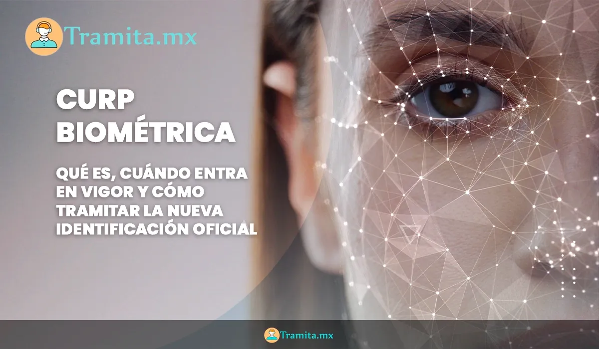 CURP Biométrica 2026: Qué Es y Cuándo Entra en Vigor