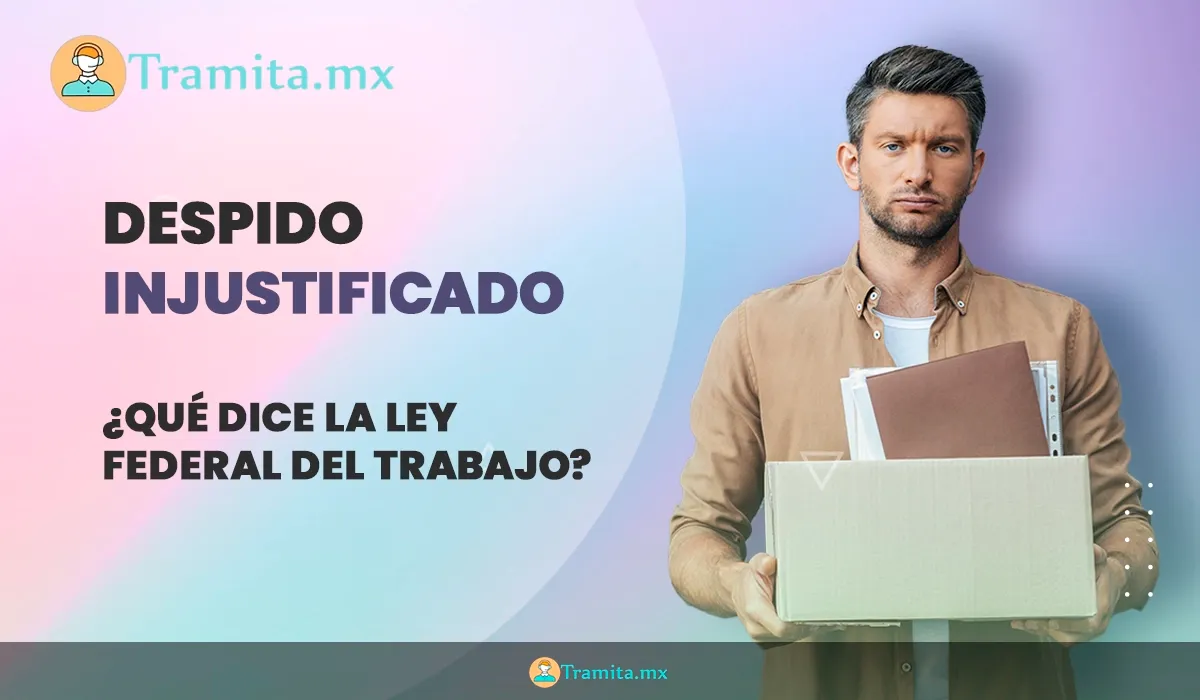 Despido Injustificado