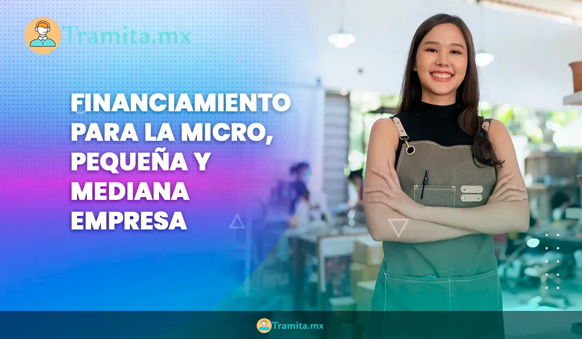 Financiamiento para la Micro, Pequeña y Mediana Empresa