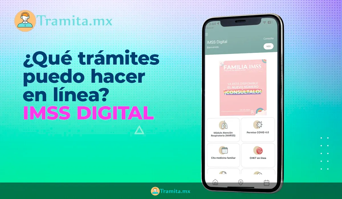 IMSS Digital: ¿Qué trámites puedo hacer desde la aplicación sin salir de casa?