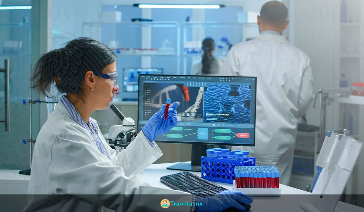 INSTITUTO POLITÉCNICO NACIONAL - Maestría en Ciencias de la Salud 2022