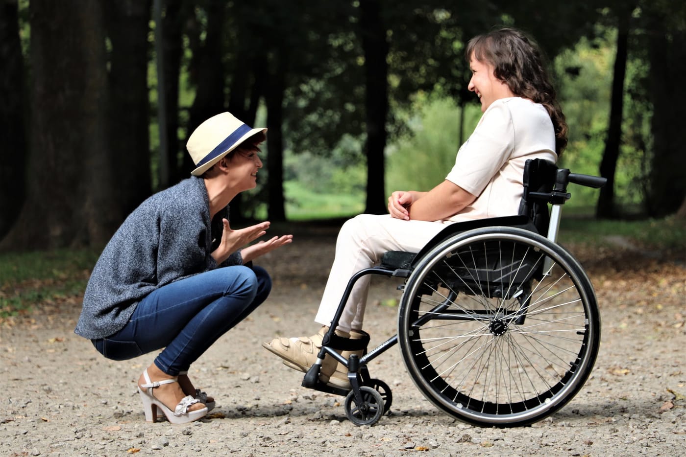 Programa Pensión para el Bienestar de las Personas con Discapacidad