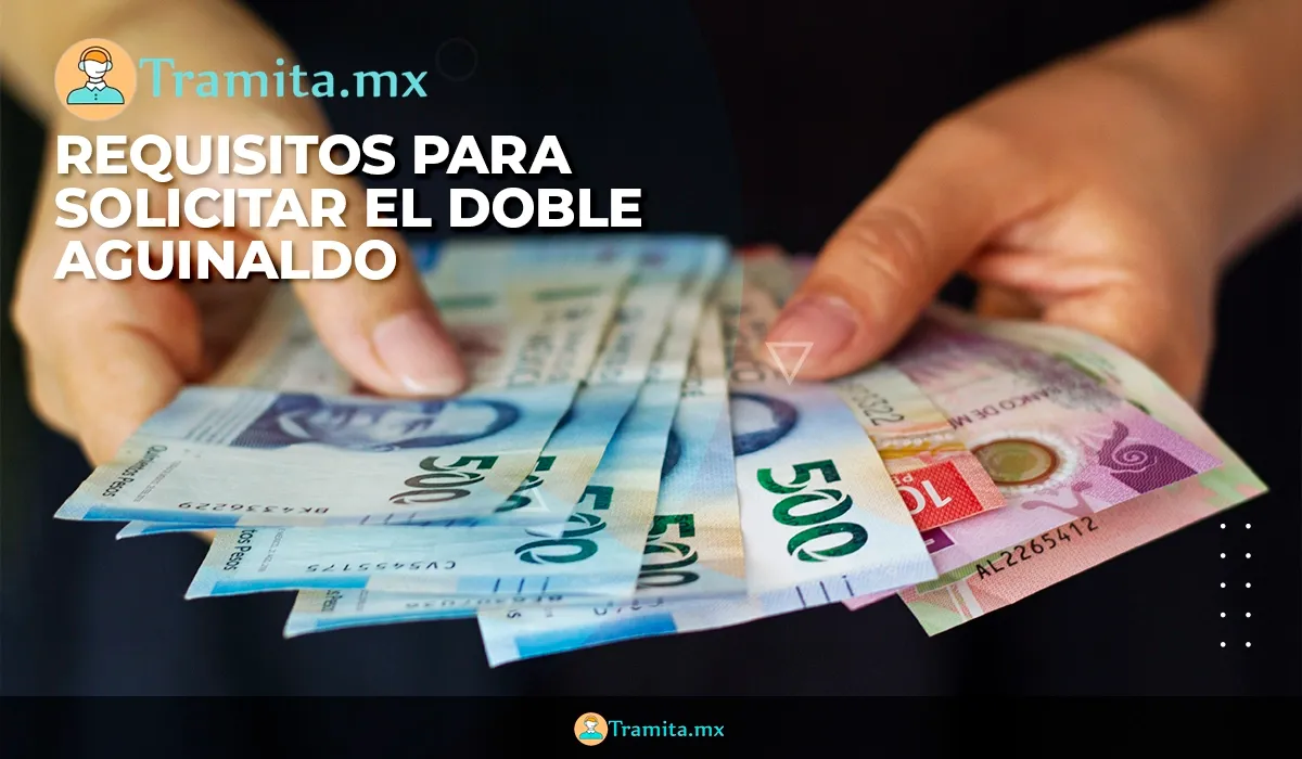 La Reforma Laboral en 2023: Requisitos para Solicitar el Doble Aguinaldo