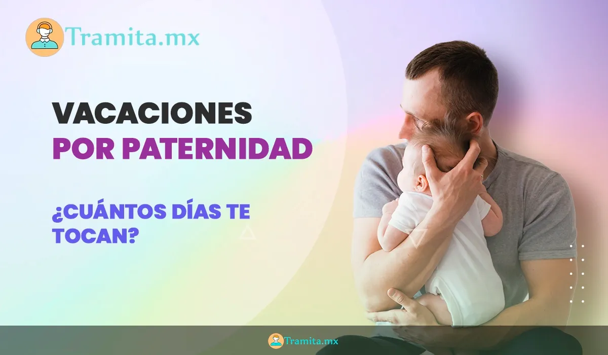 Vacaciones Por Paternidad